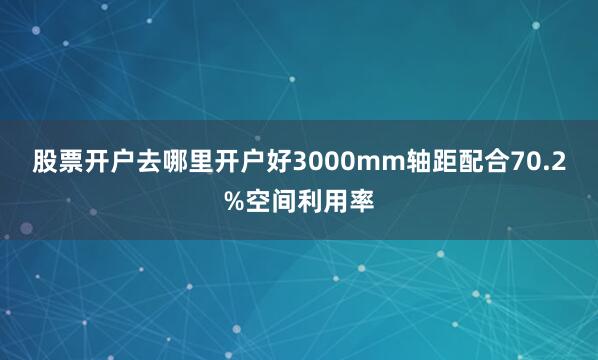 股票开户去哪里开户好3000mm轴距配合70.2%空间利用率
